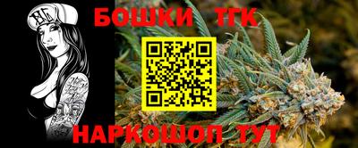 амф Кандалакша