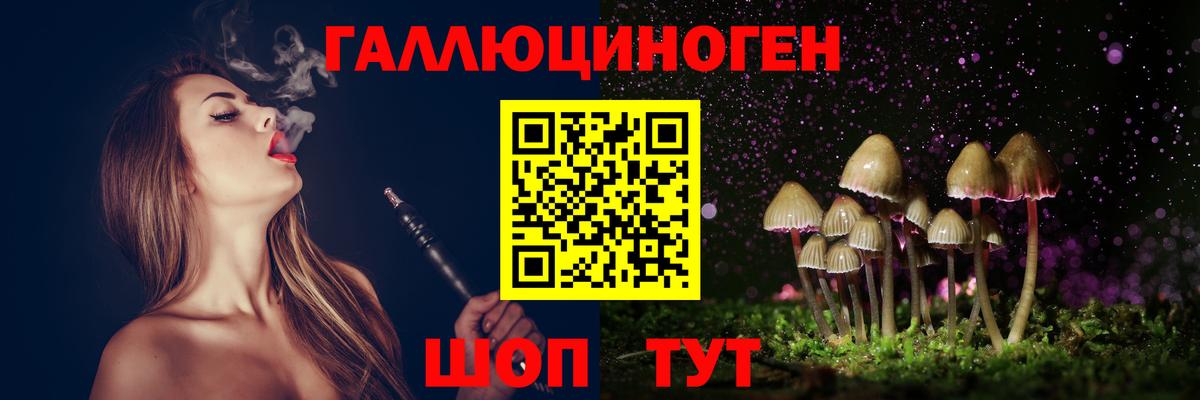 Касимов  Псилоцибиновые грибы Psilocybe  Вход с VPN  Галлюциногенные грибы прущие грибы 