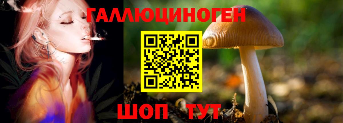 Метадон  Гашиш  Касимов  ЭКСТАЗИ  Бошки Шишки  Кокаин  МЕФ   Вход с VPN 